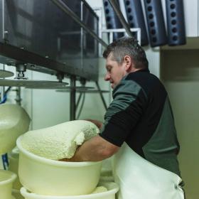 kaasmakerij - ambachtelijke kaasproductie